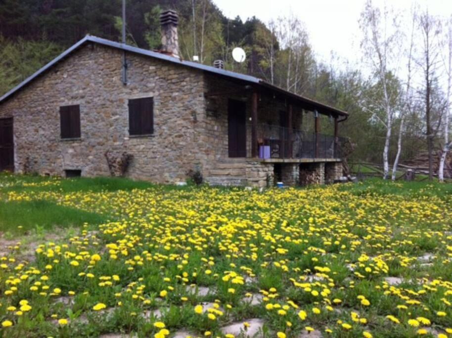Holiday home A Bossolasco Con Piscina